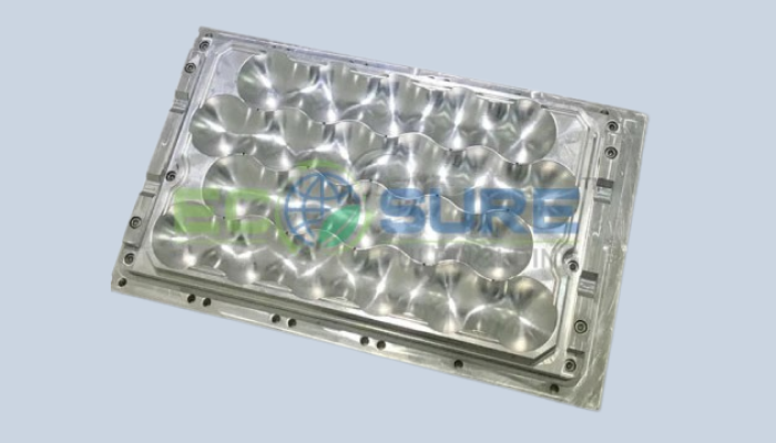 Ecosure pulpmolding Technologies Limited-Fruit tray mold